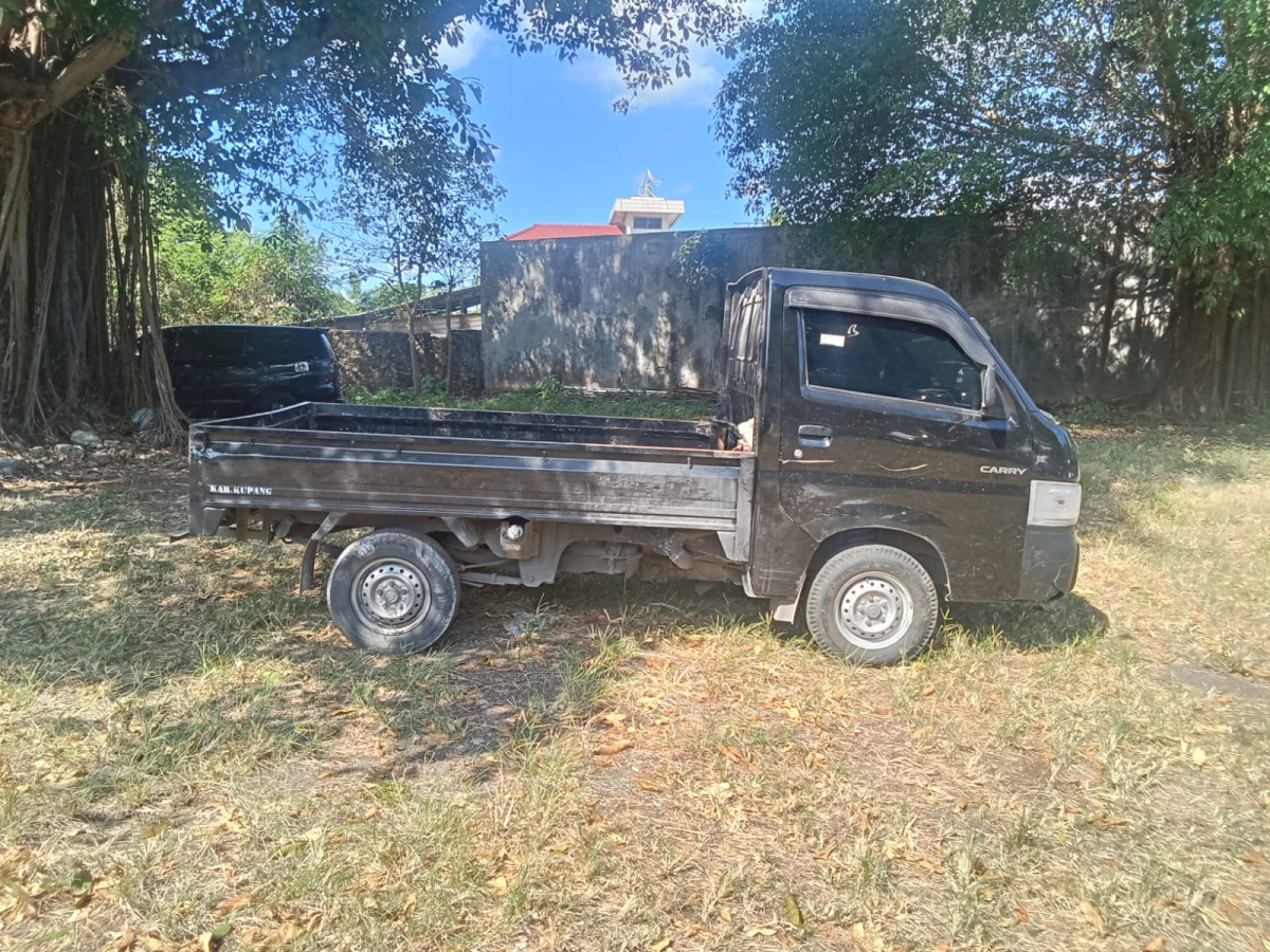 SUZUKI CARRY CL PICK UP