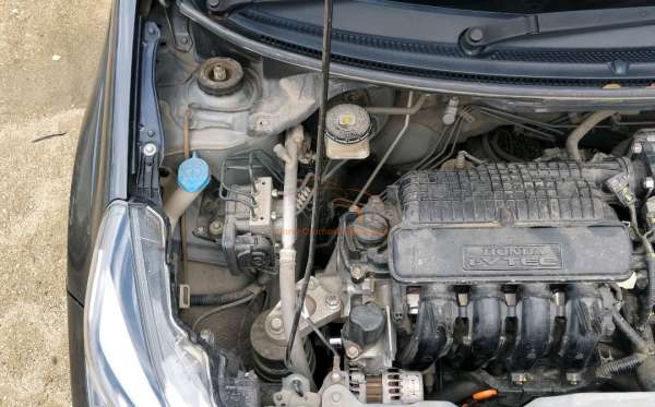 HONDA BRIO
