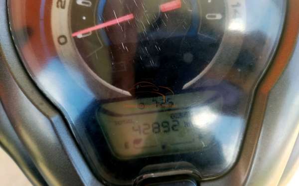 HONDA SCOOPY CW