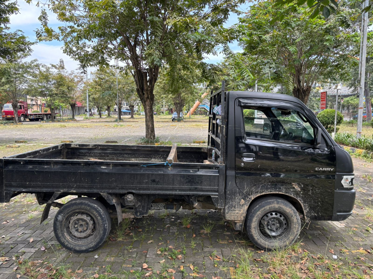 SUZUKI CARRY  PU