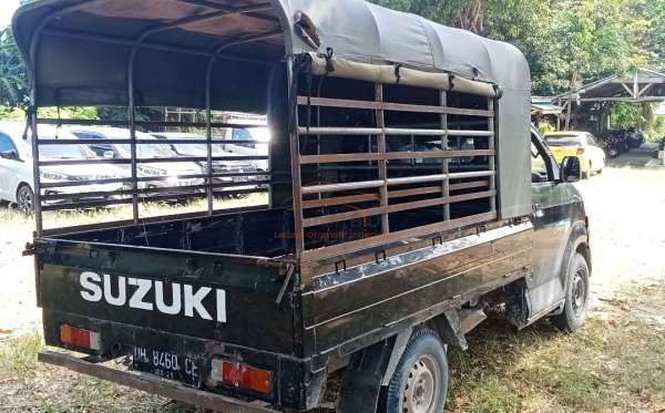 SUZUKI MEGA CARRY PU