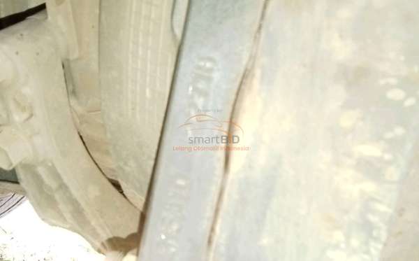 SUZUKI MEGA CARRY PU