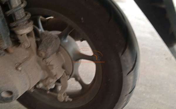 HONDA  GENIO