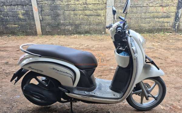 HONDA SCOOPY CW