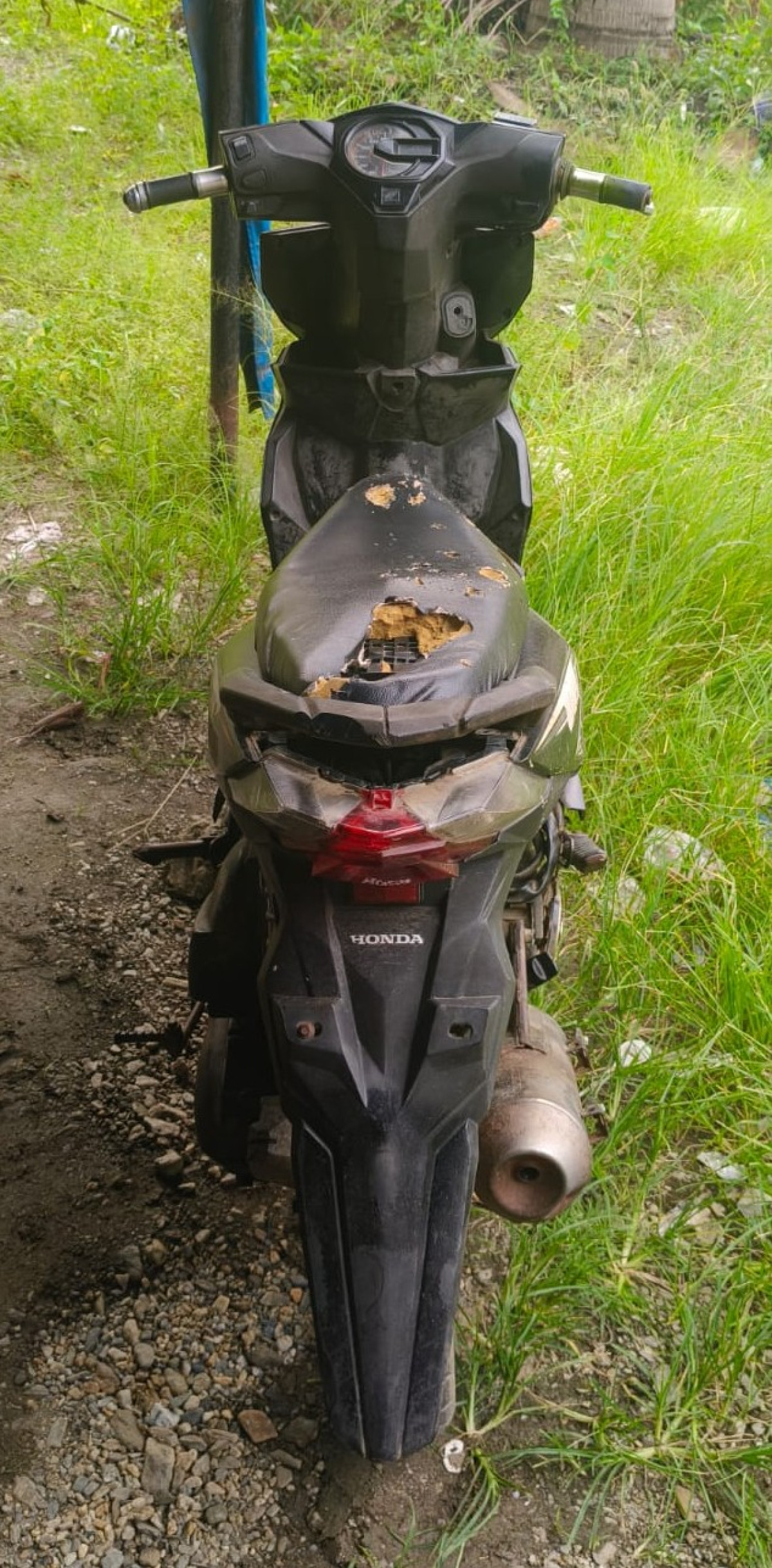 HONDA BEAT