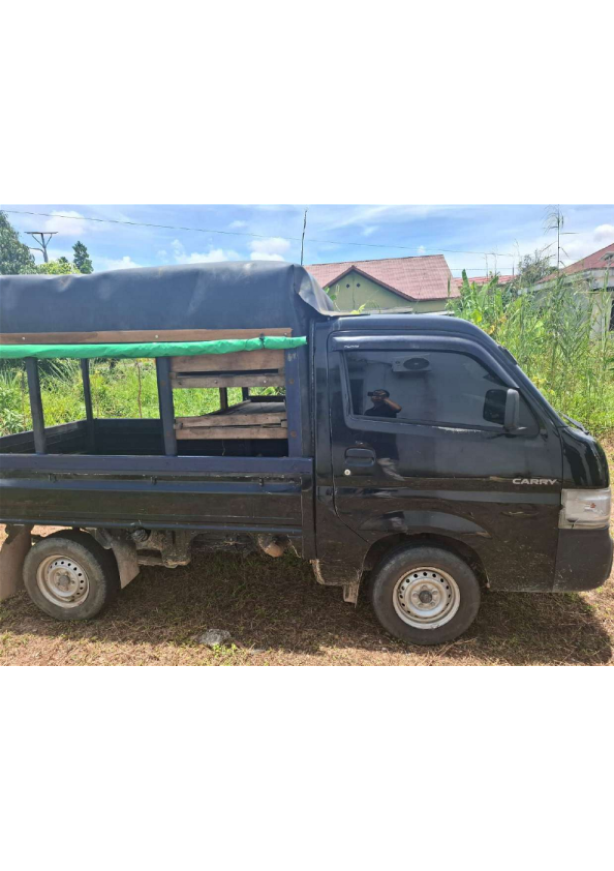 SUZUKI CARRY  PU