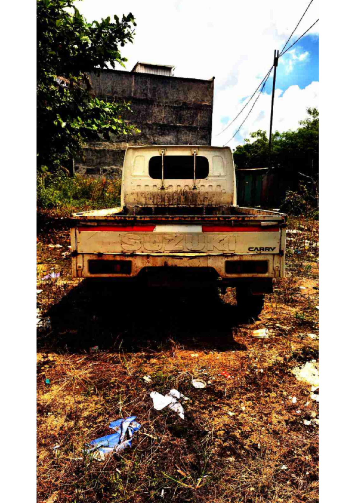 SUZUKI CARRY  PU