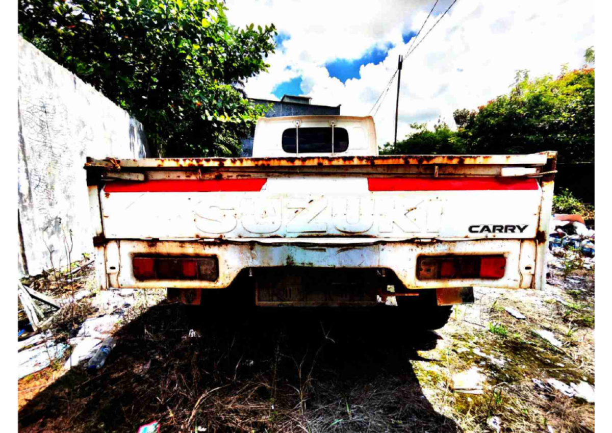 SUZUKI CARRY  PU