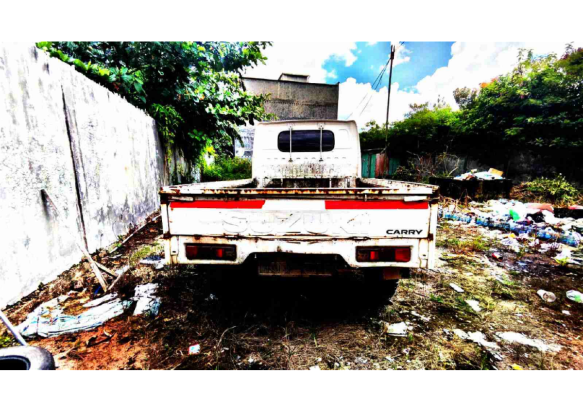 SUZUKI CARRY  PU