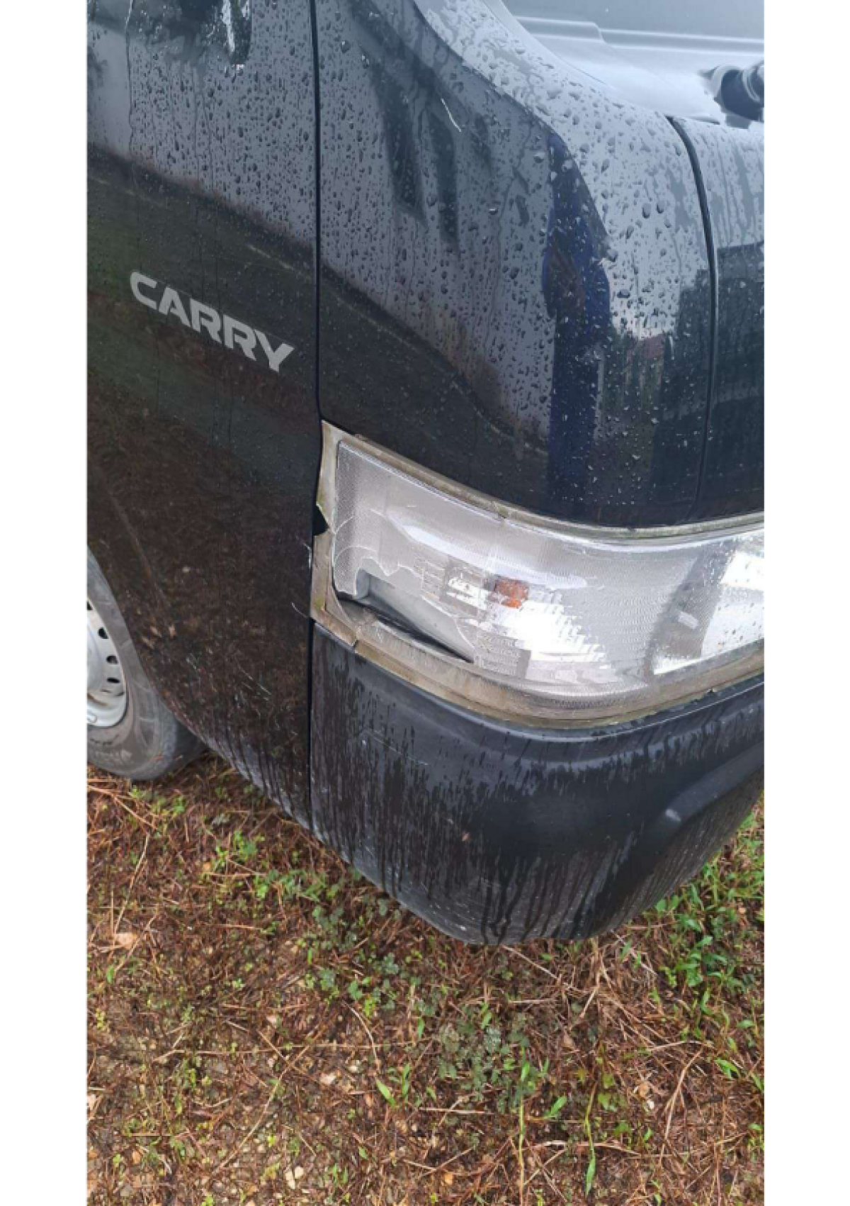 SUZUKI CARRY  PU