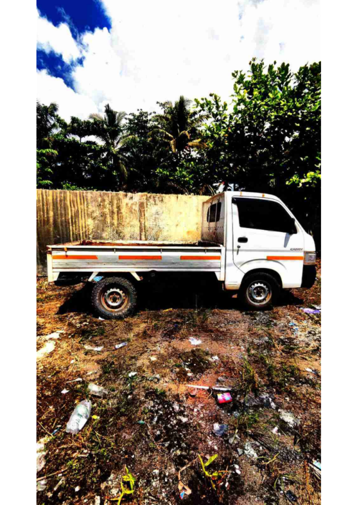 SUZUKI CARRY  PU