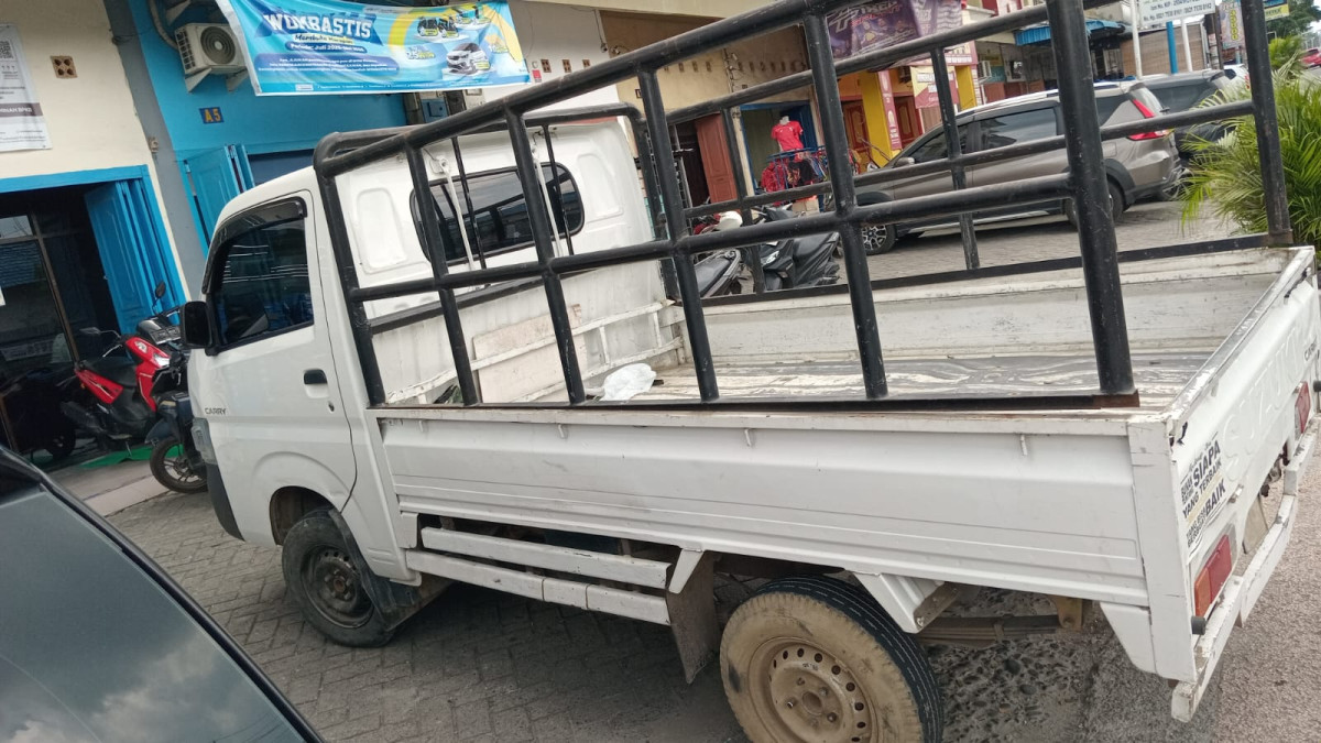 SUZUKI CARRY  PU