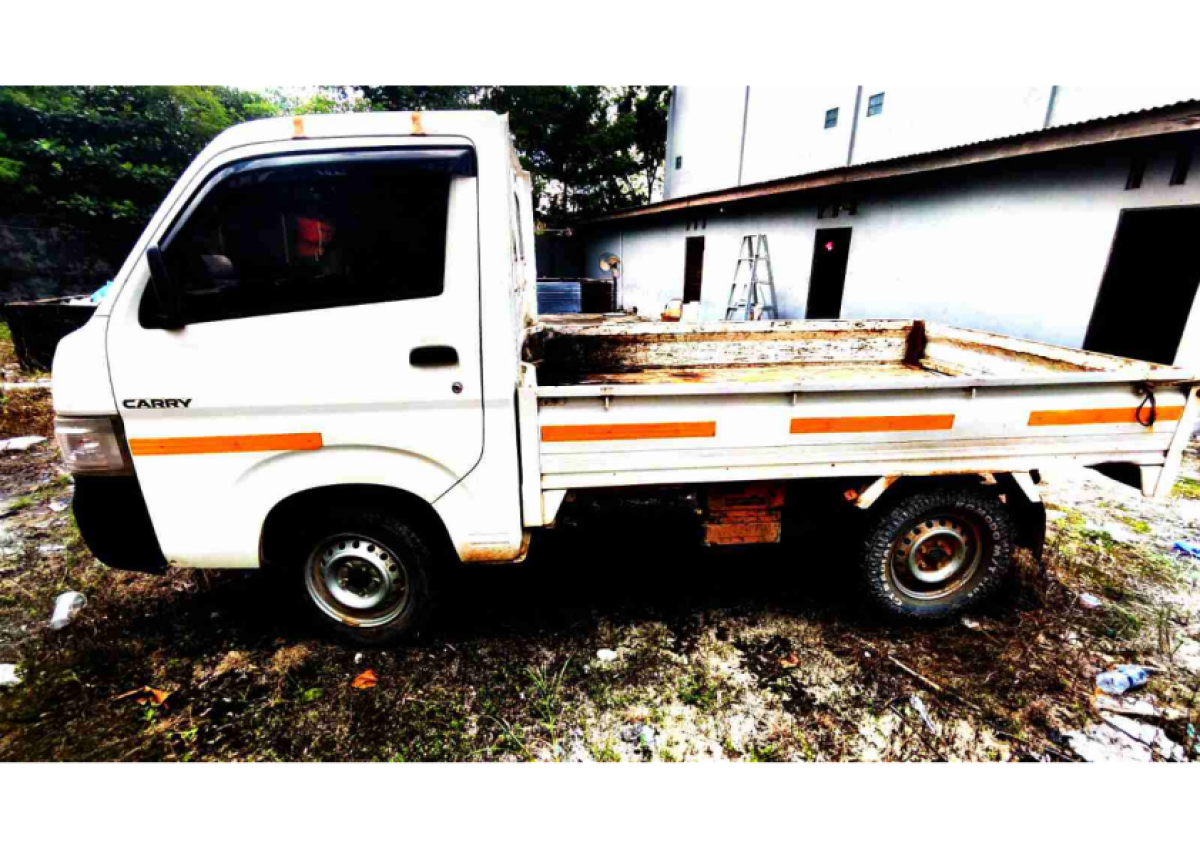 SUZUKI CARRY  PU