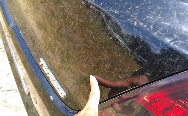 DATSUN GO PANCA