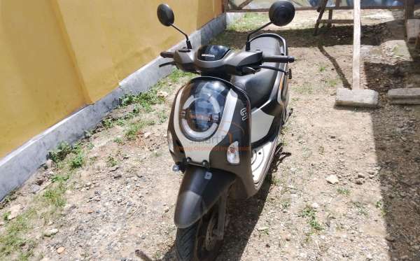 HONDA  SCOOPY
