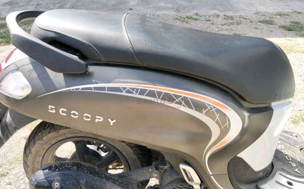 HONDA  SCOOPY
