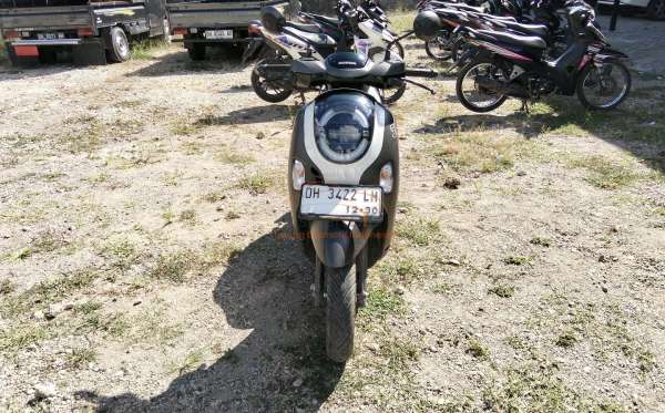 HONDA  SCOOPY