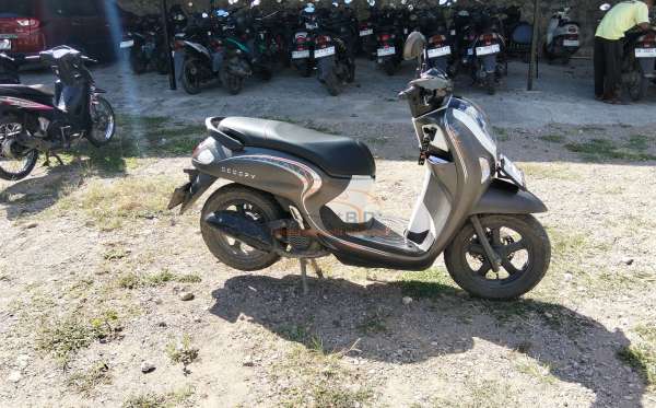 HONDA  SCOOPY
