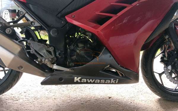 KAWASAKI NINJA EX 250 L