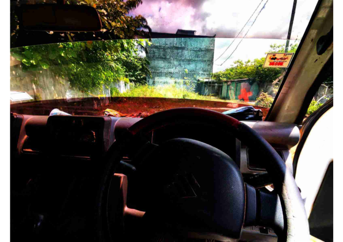 SUZUKI CARRY  PU