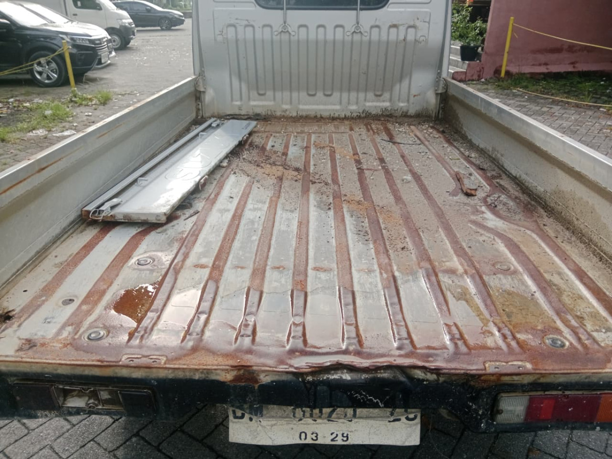 SUZUKI CARRY  PU