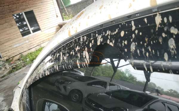HONDA BRIO RS