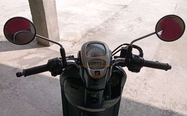 HONDA SCOOPY CW