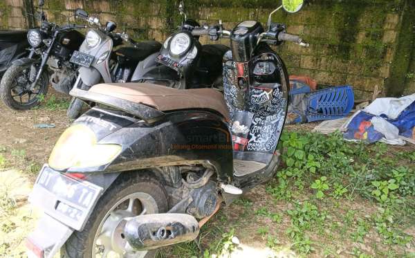 HONDA SCOOPY STYLISH