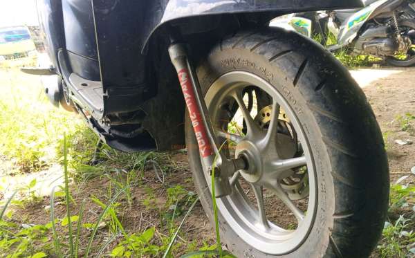 HONDA SCOOPY STYLISH