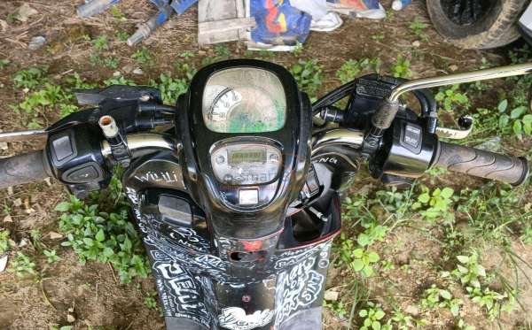 HONDA SCOOPY STYLISH