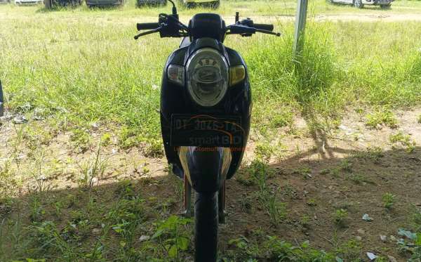 HONDA SCOOPY STYLISH