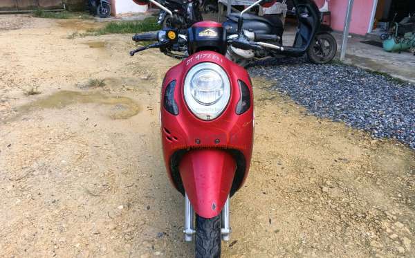 HONDA  SCOOPY