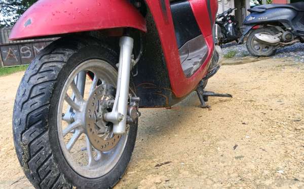 HONDA  SCOOPY