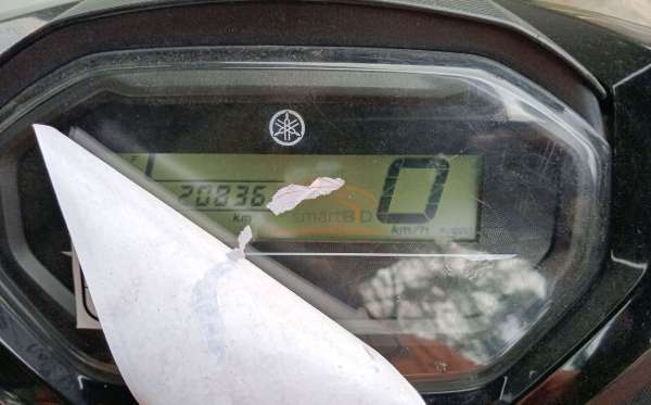 YAMAHA FREEGO