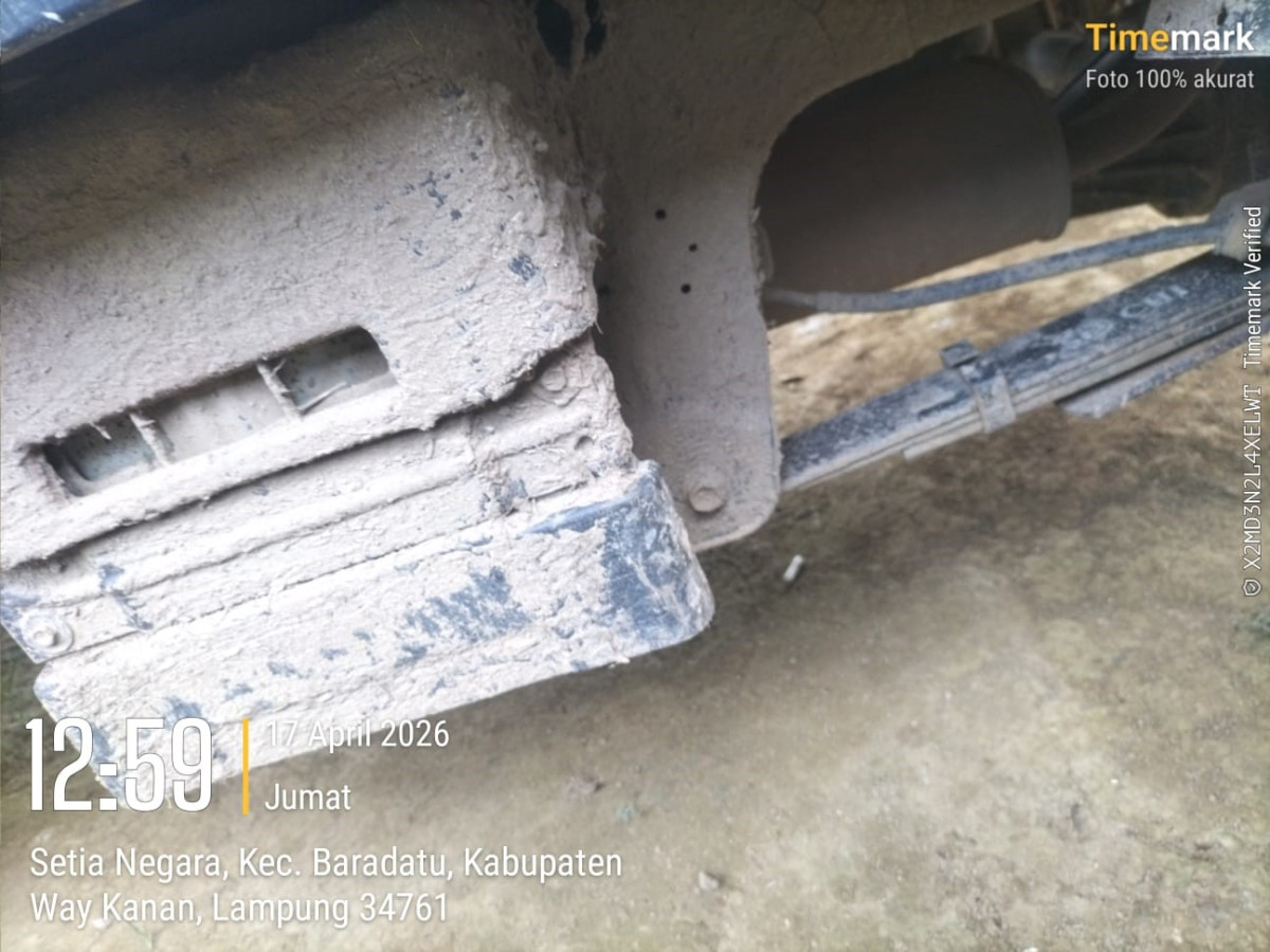 SUZUKI CARRY  PU