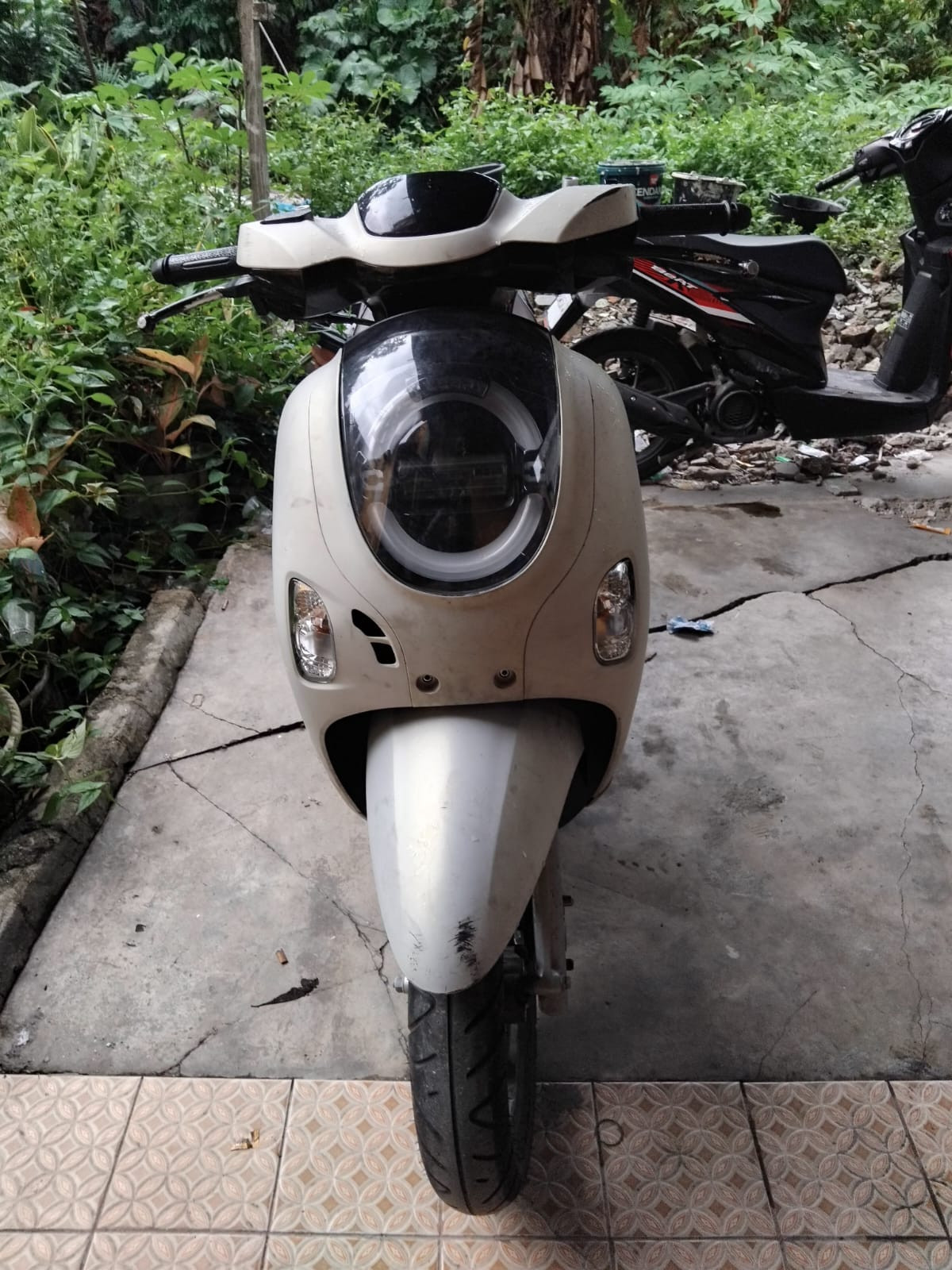 HONDA  SCOOPY