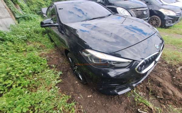 BMW BMW 218I
