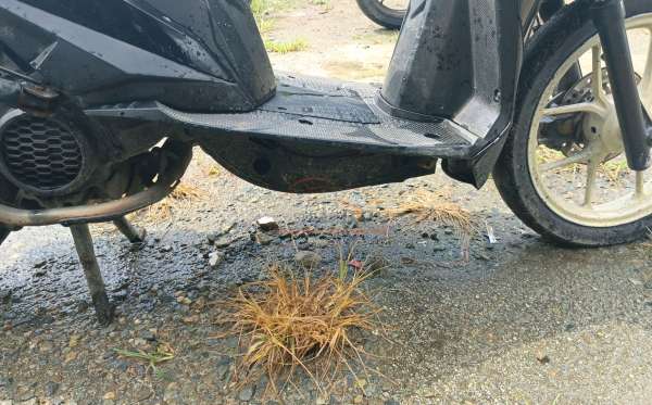 HONDA BEAT