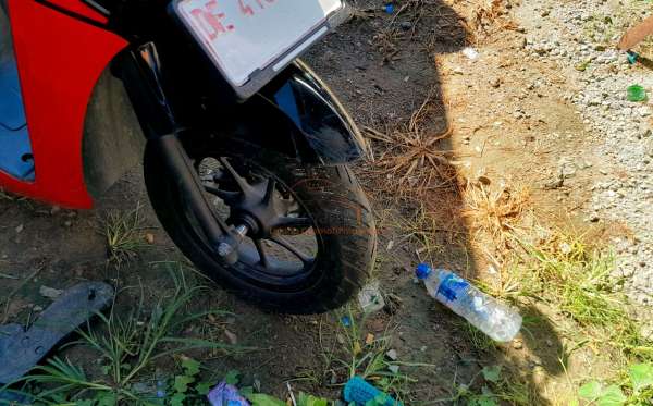 HONDA  GENIO
