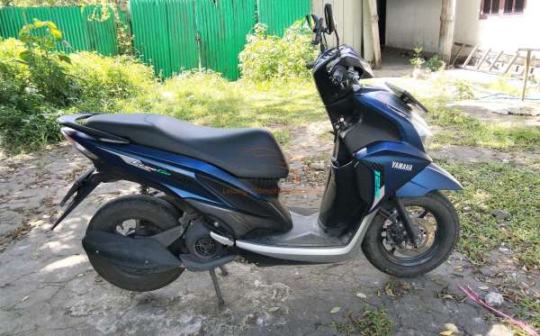 YAMAHA FREEGO