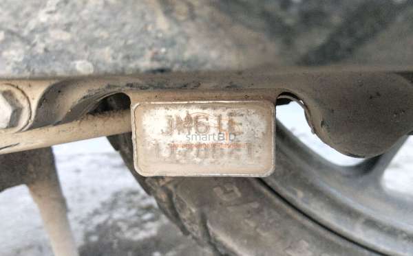 HONDA  GENIO