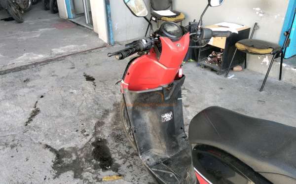 HONDA  GENIO