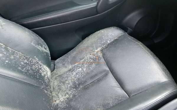 NISSAN X TRAIL 2.5