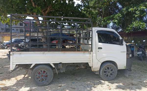 SUZUKI  CARRY  PU