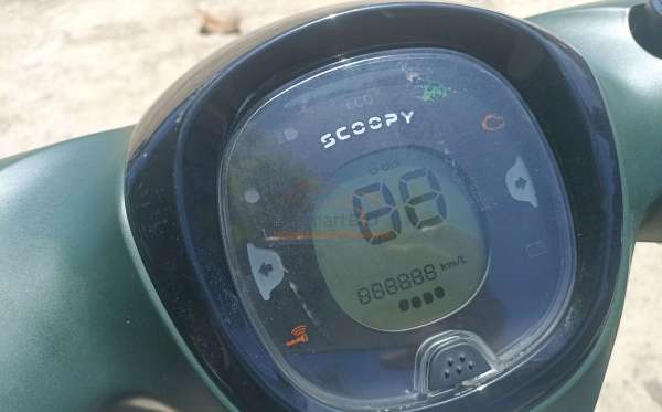 HONDA SCOOPY STYLISH