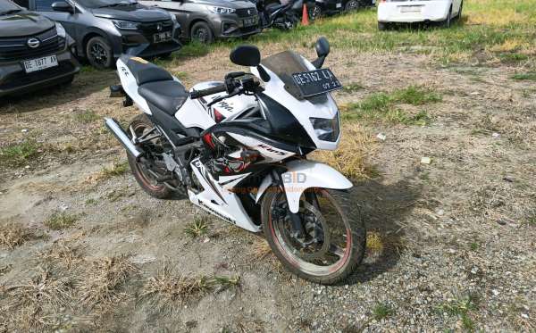 KAWASAKI NINJA 150 RR SE