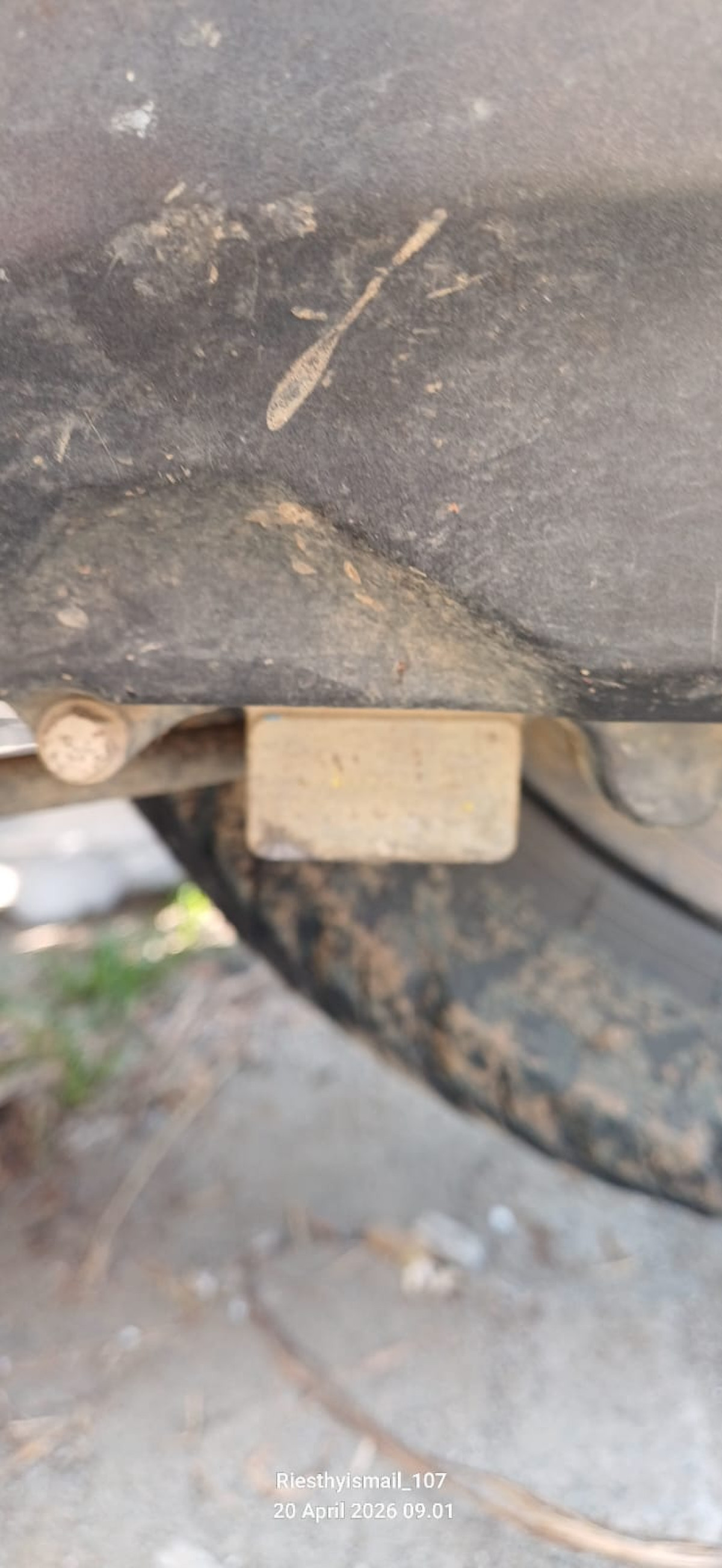 HONDA GENIO