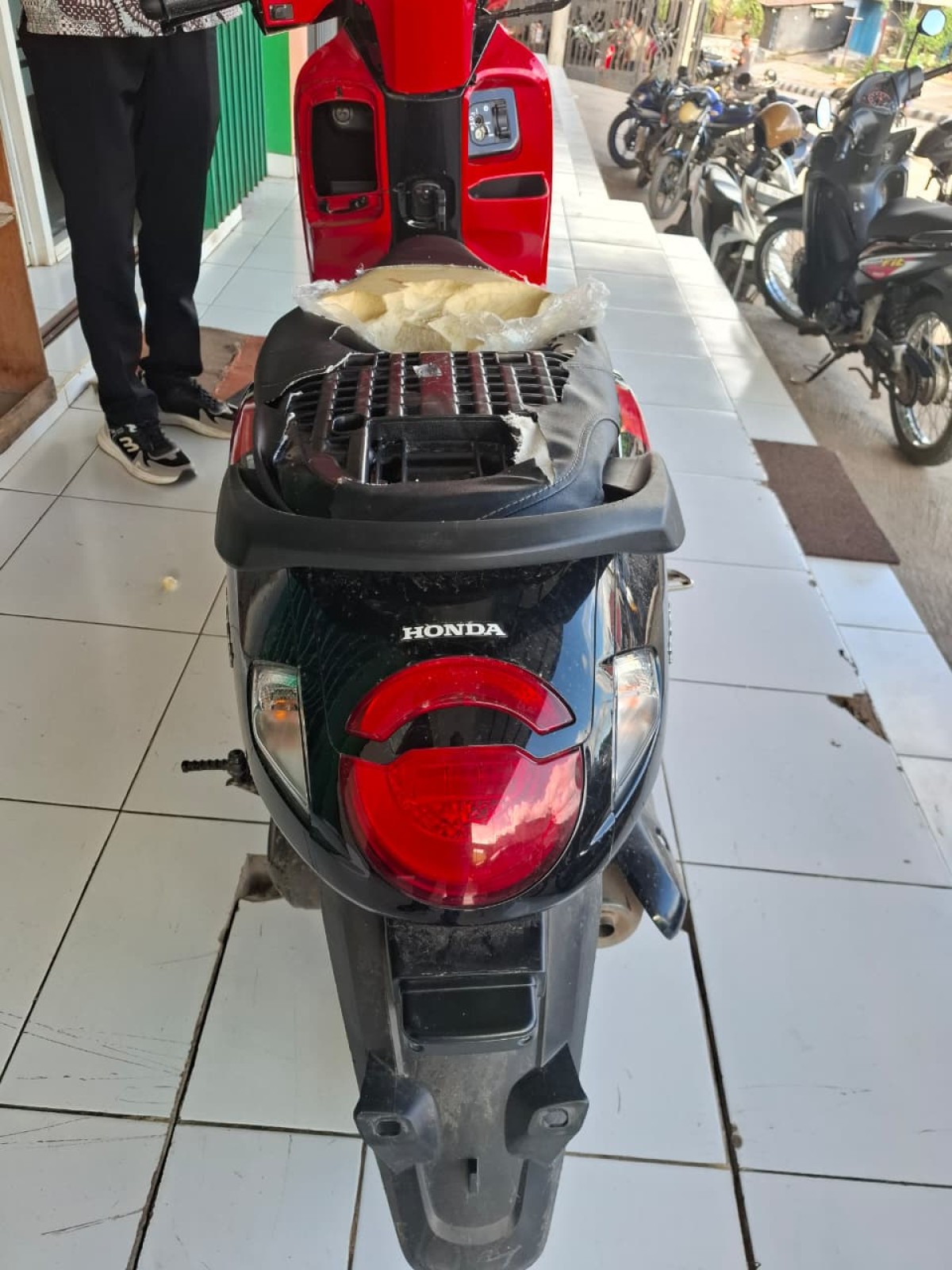 HONDA SCOOPY