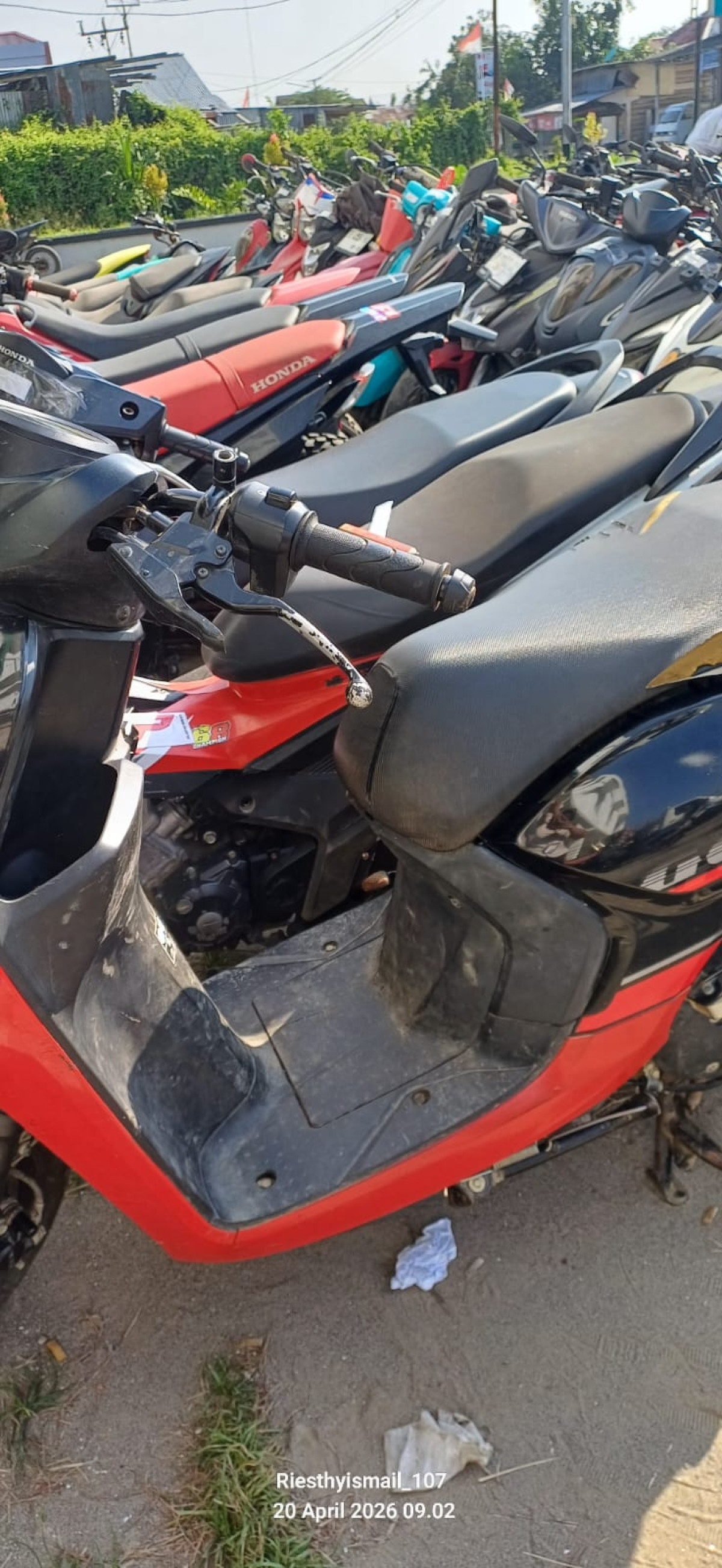 HONDA GENIO