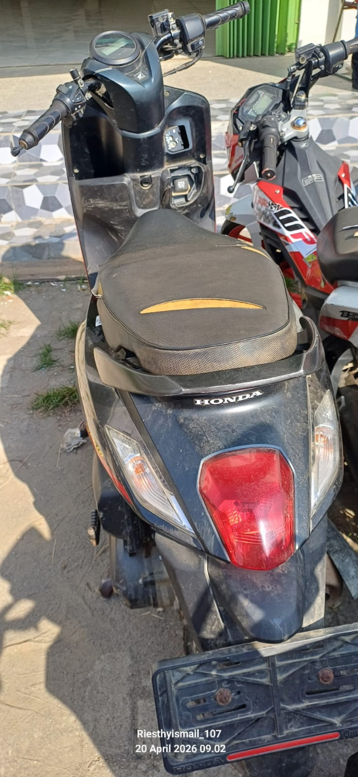 HONDA GENIO